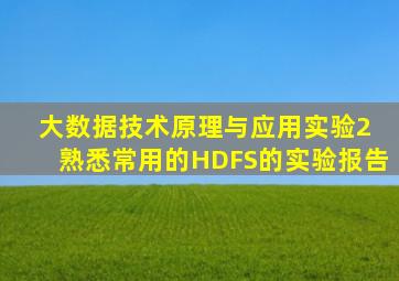 大数据技术原理与应用实验2 熟悉常用的HDFS的实验报告